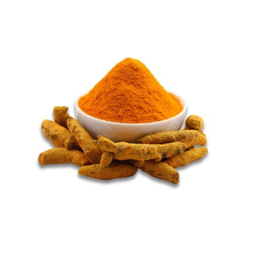 WhatsApp Image 2025-12-24 at 12.13.05 PM